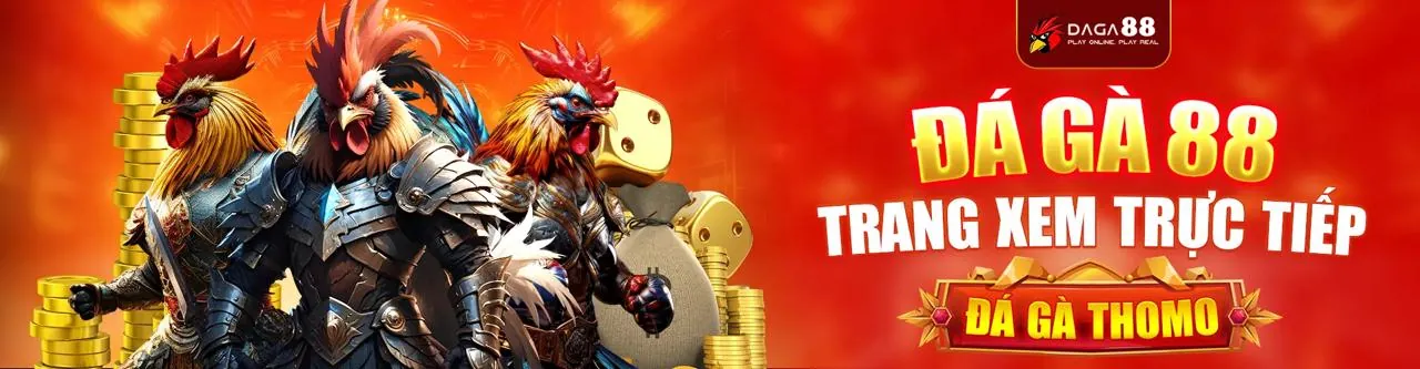 Hình ảnh tổng quan nền tảng giải trí trực tuyến bet169 nhà cái