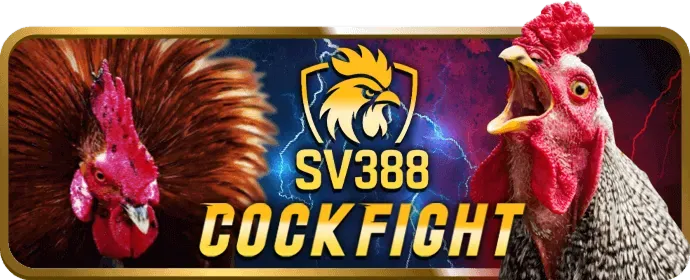 Tiếp thị và khuyến mãi bet169 nhà cái